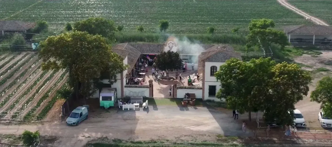 Aerial view of a country estate surrounded by vineyards