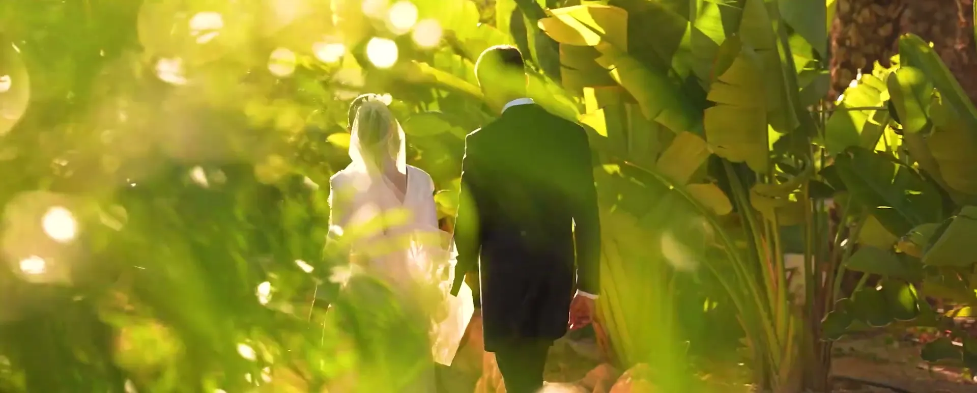 Bride and groom walking away through sunlit tropical leaves