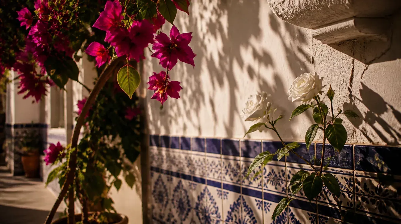 Wedding atmosphere for wedding photographer Marbella